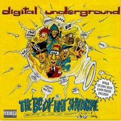 <i>The Body-Hat Syndrome</i> 1993 studio album by Digital Underground