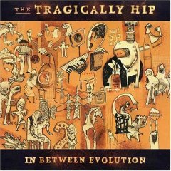 <i>In Between Evolution</i> 2004 studio album by The Tragically Hip