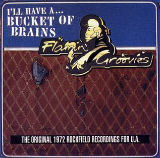 <i>A Bucket of Brains</i> 1995 studio album by Flamin Groovies