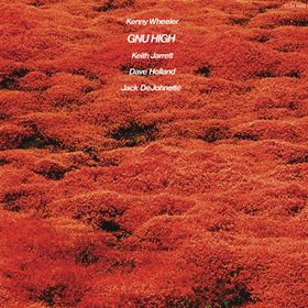 <i>Gnu High</i> 1976 studio album by Kenny Wheeler