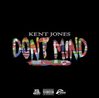 <span class="mw-page-title-main">Don't Mind (Kent Jones song)</span> 2016 single by Kent Jones