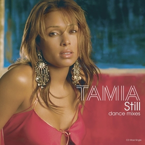 <span class="mw-page-title-main">Still (Tamia song)</span> 2004 single by Tamia