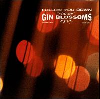 <span class="mw-page-title-main">Follow You Down</span> 1996 single by Gin Blossoms