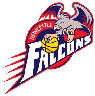 <span class="mw-page-title-main">Newcastle Falcons (basketball)</span> Defunct basketball team from Newcastle, Australia