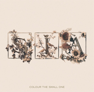 <i>Colour the Small One</i> 2004 studio album by Sia