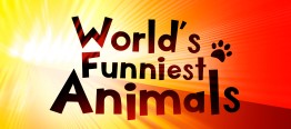 <i>Worlds Funniest Animals</i> American reality television program