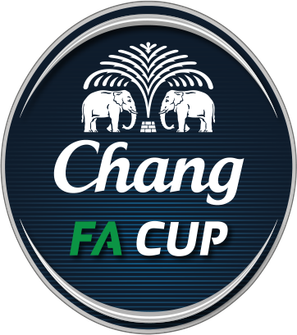 <span class="mw-page-title-main">Thai FA Cup</span> Football tournament