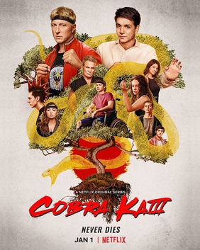 <i>Cobra Kai</i> season 3 Season of television series