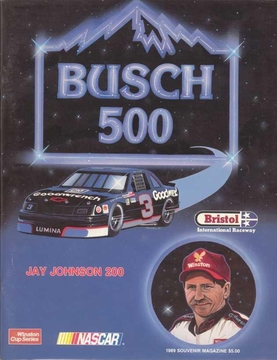 <span class="mw-page-title-main">1989 Busch 500</span> 20th race of the 1989 NASCAR Winston Cup Series