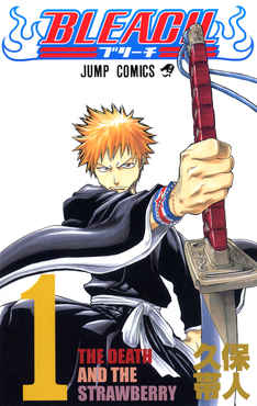 <i>Bleach</i> (manga) Japanese manga series by Tite Kubo