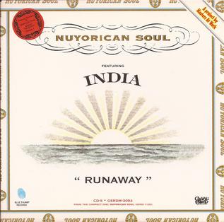 <span class="mw-page-title-main">Runaway (Nuyorican Soul song)</span> 1996 single by Nuyorican Soul