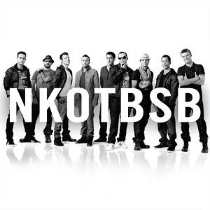 <i>NKOTBSB</i> (album) 2011 compilation album by NKOTBSB