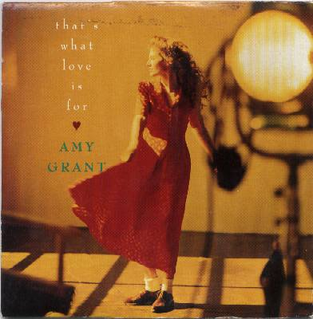 Thats What Love Is For 1991 single by Amy Grant