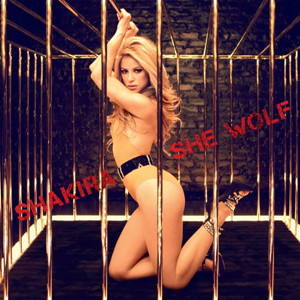 <span class="mw-page-title-main">She Wolf (Shakira song)</span> 2009 single by Shakira