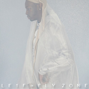 <i>Fly Zone</i> 2013 mixtape by Le1f