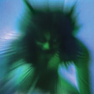 <i>Safe in the Hands of Love</i> 2018 studio album by Yves Tumor