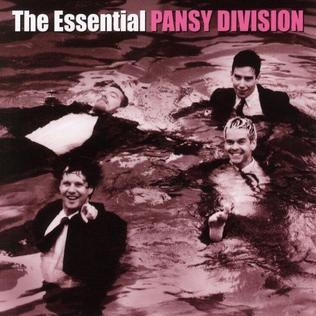 <i>The Essential Pansy Division</i> 2006 compilation album by Pansy Division