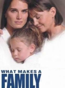 <i>What Makes a Family</i> 2001 American TV series or program