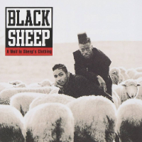 <i>A Wolf in Sheeps Clothing</i> (Black Sheep album) 1991 studio album by Black Sheep