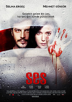 <i>The Voice</i> (2010 film) 2010 Turkish film