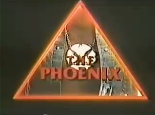 <i>The Phoenix</i> (1982 TV series) 1982 American TV series or program