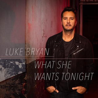 <span class="mw-page-title-main">What She Wants Tonight</span> 2019 single by Luke Bryan