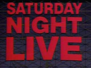 <i>Saturday Night Live</i> season 10 Season of television series