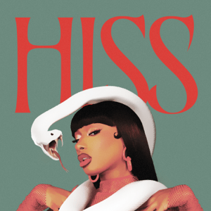 <span class="mw-page-title-main">Hiss (song)</span> 2024 single by Megan Thee Stallion