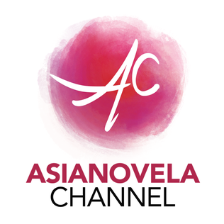 <span class="mw-page-title-main">Asianovela Channel</span> Defunct pay television channel in the Philippines