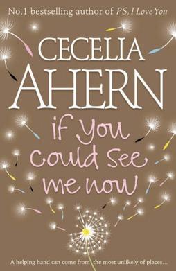 <i>If You Could See Me Now</i> (Ahern novel) Book by Cecelia Ahern