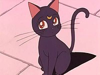 Luna (<i>Sailor Moon</i>) Character in Sailor Moon