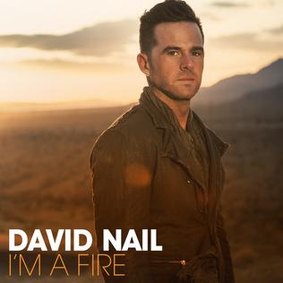 <i>Im a Fire</i> (album) 2014 studio album by David Nail