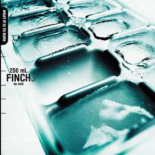 <i>What It Is to Burn</i> 2002 studio album by Finch