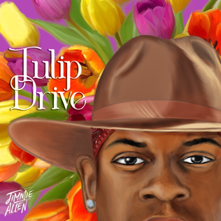 <i>Tulip Drive</i> 2022 studio album by Jimmie Allen