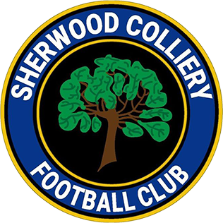 <span class="mw-page-title-main">Sherwood Colliery F.C.</span> Association football club in England