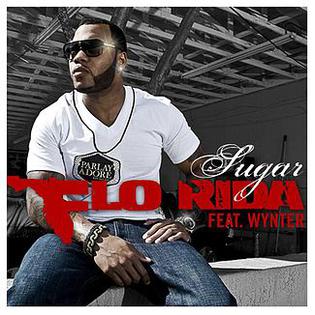 <span class="mw-page-title-main">Sugar (Flo Rida song)</span> 2009 single by Flo Rida