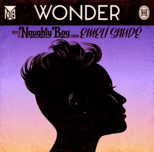 <span class="mw-page-title-main">Wonder (Naughty Boy song)</span> 2012 single by Naughty Boy