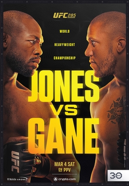 <span class="mw-page-title-main">UFC 285</span> 2023 mixed martial arts event