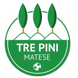 <span class="mw-page-title-main">ASD Tre Pini Matese</span> Italian football club