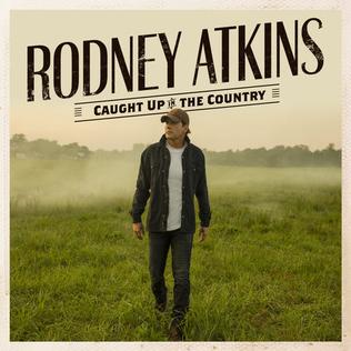 <i>Caught Up in the Country</i> 2019 studio album by Rodney Atkins