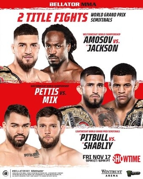 <span class="mw-page-title-main">Bellator 301</span> 2023 mixed martial arts event