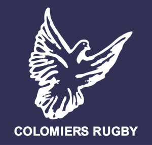 <span class="mw-page-title-main">Colomiers Rugby</span> French rugby union club