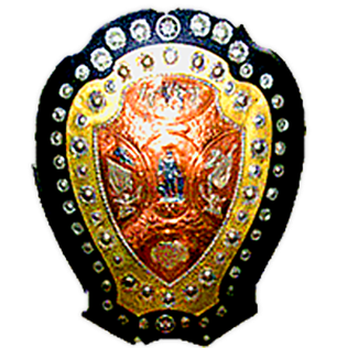 <span class="mw-page-title-main">IFA Shield</span> Association football competition in India