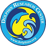 <span class="mw-page-title-main">Dolphin Research Center</span> Zoo in Florida, United States