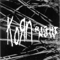 <span class="mw-page-title-main">Right Now (Korn song)</span> 2003 single by Korn