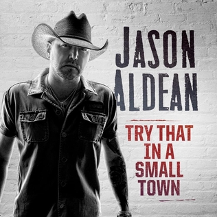 <span class="mw-page-title-main">Try That in a Small Town</span> 2023 single by Jason Aldean