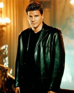 Angel (<i>Buffy the Vampire Slayer</i>) Character in Buffy the Vampire Slayer and Angel