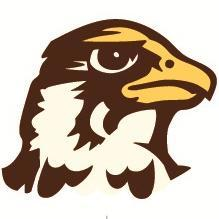 <span class="mw-page-title-main">Quincy Hawks</span> Athletic teams representing Quincy University