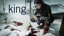 <i>King</i> (2011 TV series) 2011-2012 Canadian television police drama