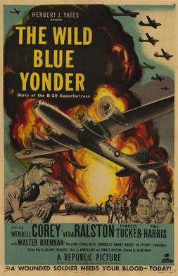 <i>The Wild Blue Yonder</i> (1951 film) 1951 war film directed by Allan Dwan